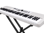 NEK-110-WH Синтезатор, 61 клавиша, автоаккомпанемент, белый, Nux