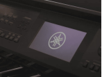 Цифровое пианино Yamaha Clavinova CVP-905 PE - чёрный полированный