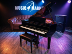 Цифровой рояль Kawai DG 30 EP