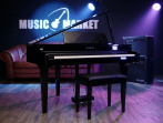 Цифровой рояль Kawai DG 30 EP
