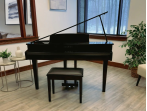 Цифровой рояль Kawai DG 30 EP