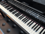 Цифровое пианино Roland LX-6 DR - тёмный палисандр