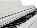 Цифровое пианино Kawai KDP120 WH | Kawai KDP-120 W