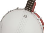 Банджо Epiphone MB-100