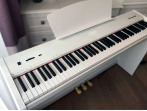 Цифровое пианино Sai Piano P-9bk