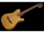 Классическая гитара Ibanez FRH10N-NTF