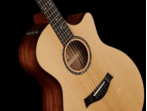 Электроакустическая гитара Taylor Custom GA-9