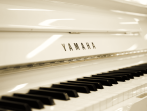 Акустическое пианино Yamaha U1 PW - белый
