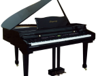 Цифровой рояль Ringway GDP6320 Polish Black