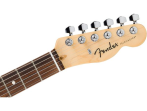Электрогитара Fender Standard Tele LRL WPG 3TS