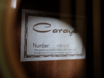 Акустическая гитара Travel, Caraya P301210