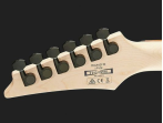 Электрогитара IBANEZ RGA42FM-DEF