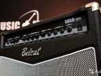 Гитарный комбоусилитель Belcat G65R