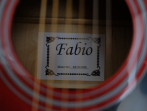 Акустическая гитара Fabio SA105 RDS