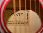 Акустическая гитара Fante FT-D38-RDS