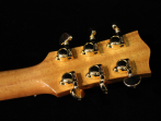 Электроакустическая гитара Maton TE1