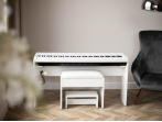 Orla Stage Pro 438PIA0258 Цифровое пианино
