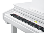 Цифровой рояль Kurzweil KAG100 WHP
