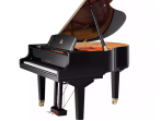 Акустический рояль Wendl & Lung W152 BK