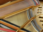 Рояль STEINWAY & SONS M-170 PE