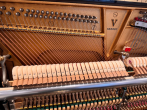 Пианино Steinway & Sons V-125