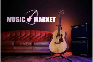 Электроакустическая гитара Taylor Gold Label 517e