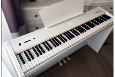 Цифровое пианино Sai Piano P-9WH