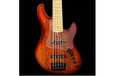 5 ти струнная бас гитара Cort GB-Fusion-5-ABB-wbag GB Series