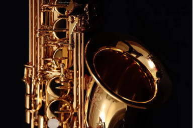 Саксофон Альт Yamaha YAS-280 G | Yamaha YAS-280