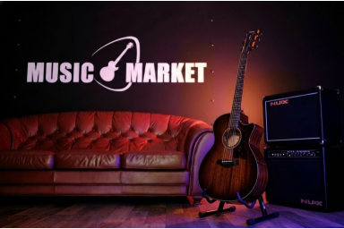 Электроакустическая гитара Taylor 324ce Next Generation