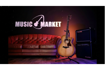 Электроакустическая гитара Taylor 314ce Studio SEB