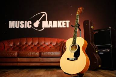 Акустическая гитара Сolombo LF - 4000 N