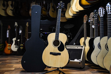 Акустическая гитара Greg Bennett OM2/N