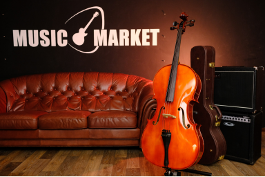 Виолончель студенческая Strunal 4/15C-1/2