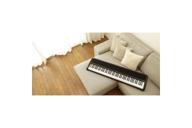 Цифровое пианино KORG B2 BK