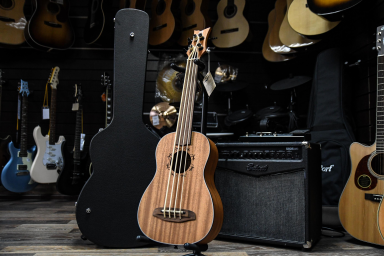 Укулеле бас со звукоснимателем, безладовое Ortega Lizard Series LIZZY-BSFL-GB