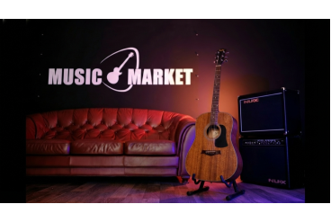 Акустическая гитара Sevillia IW-240M NS