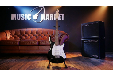 Электрогитара PEAVEY Raptor Plus Black