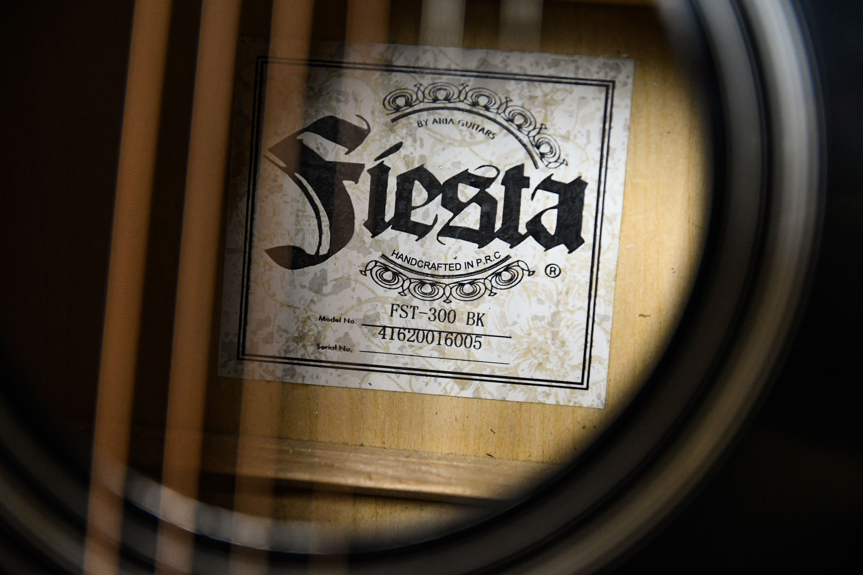 Акустическая гитара ARIA FIESTA FST-300 BK