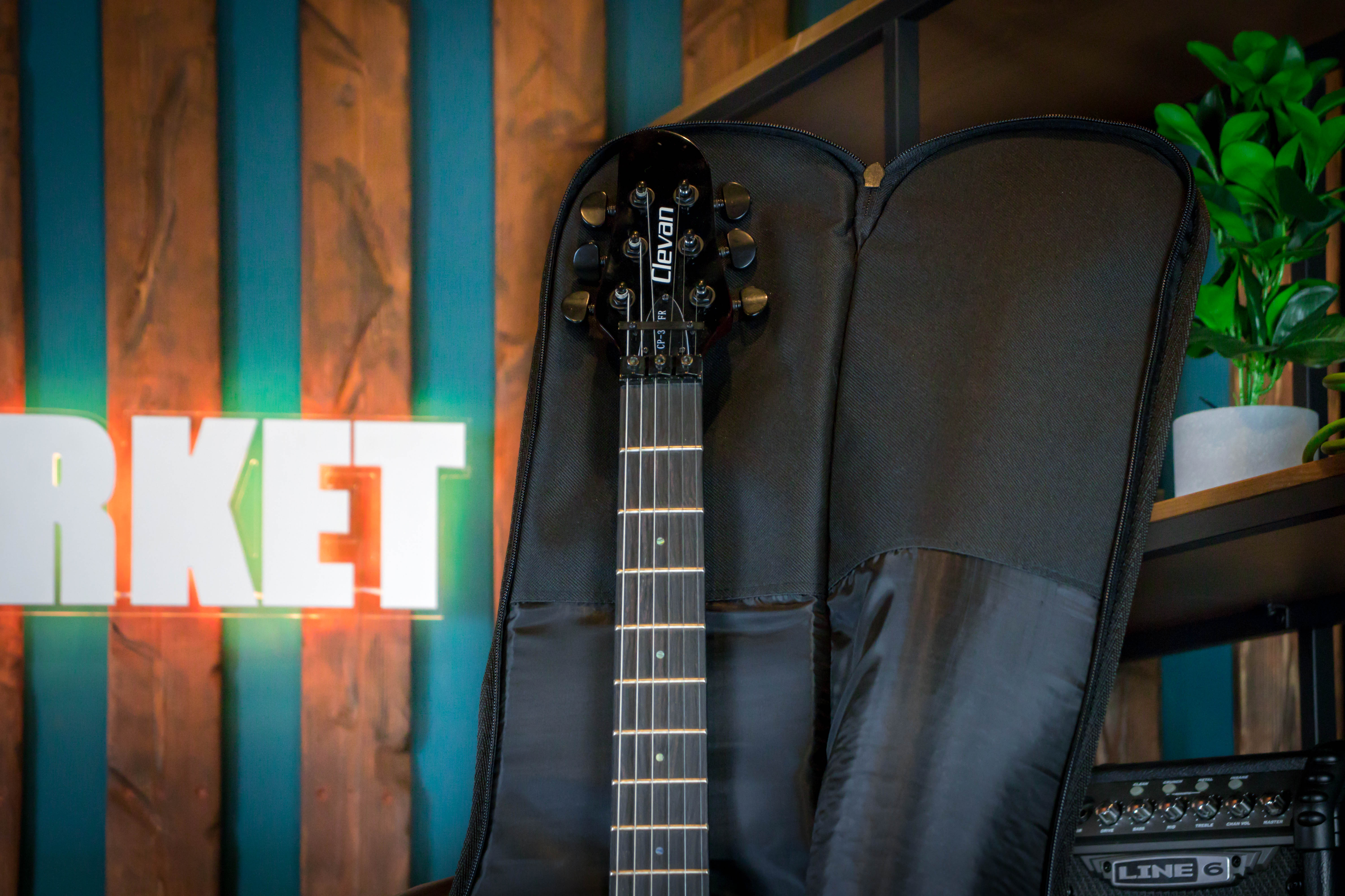 Чехол для электрогитары утепленный УЧЭГ  eh-3u