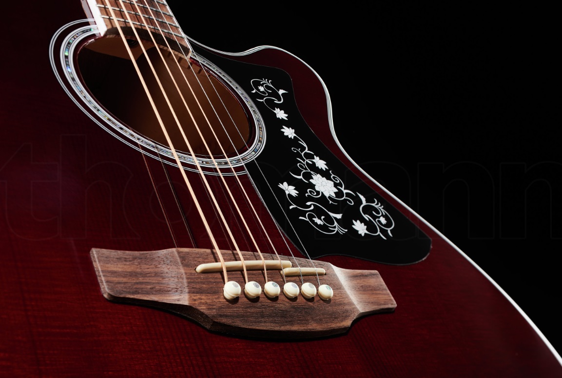 Электроакустическая гитара Takamine GN75CEWR