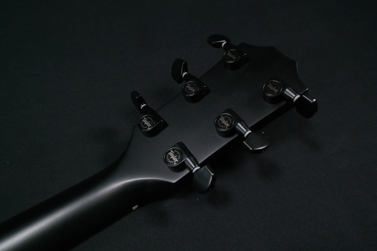 Электроакустическая гитара Taylor 224ce DLX deluxe LTD, Trans Blue