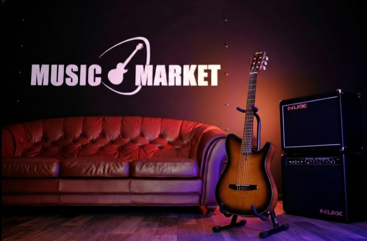 Классическая гитара Ibanez FRH10N-BSF