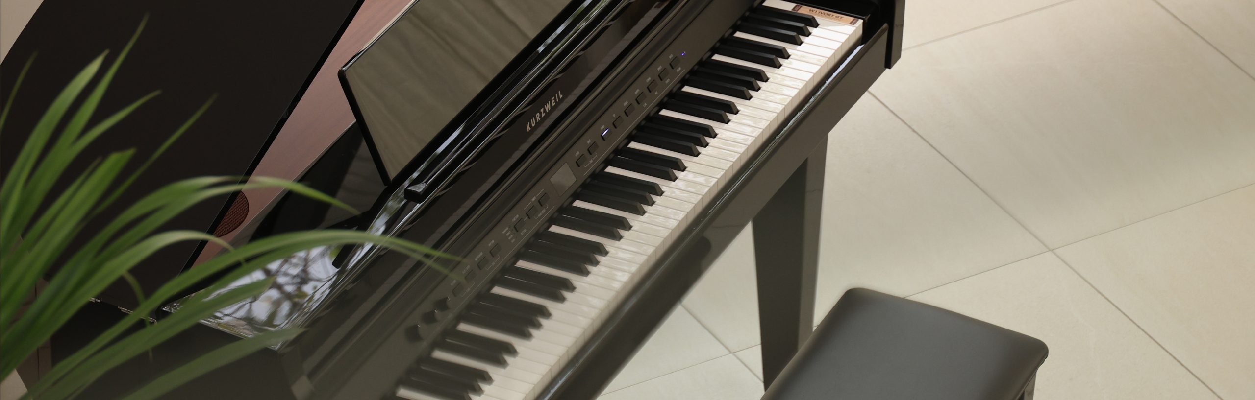 Цифровой рояль Kurzweil CUP G1W BP