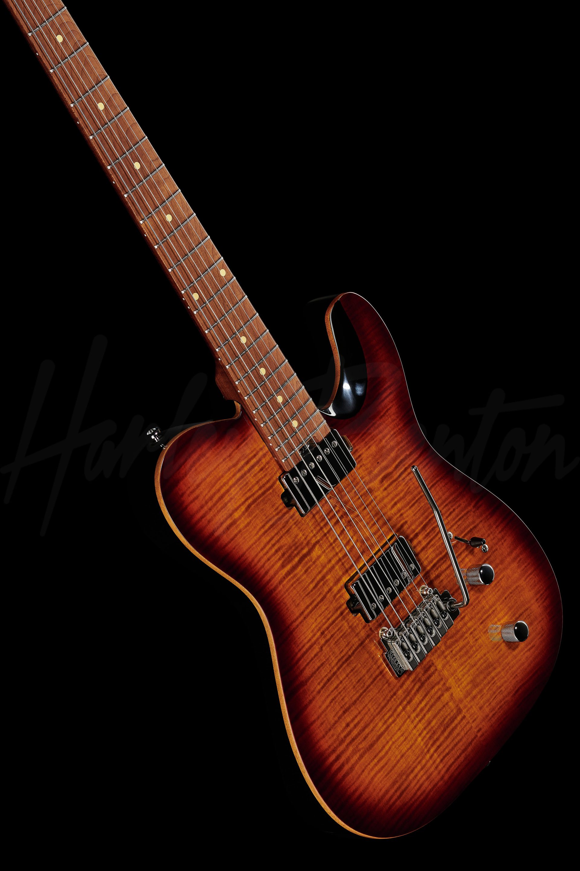 Электрогитара Harley Benton Fusion-T HH Roasted FBB