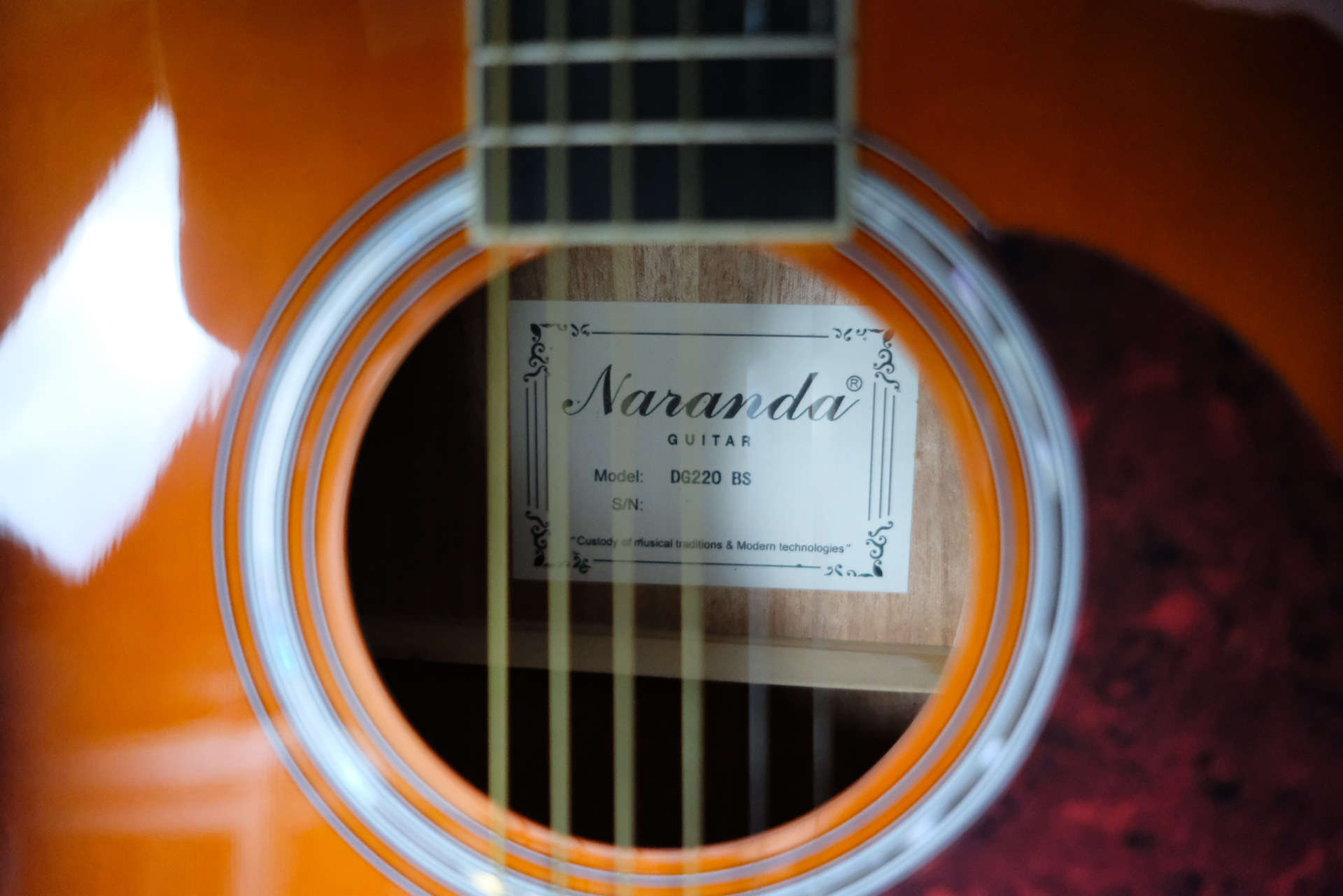 Акустическая гитара Naranda DG220BS