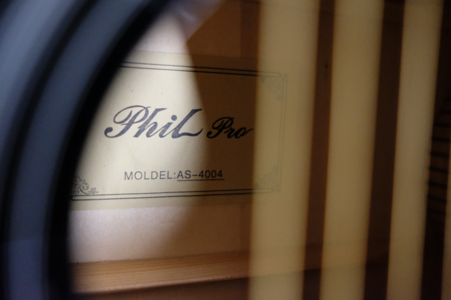 Акустическая гитара Phil Pro AS - 4004 / BK