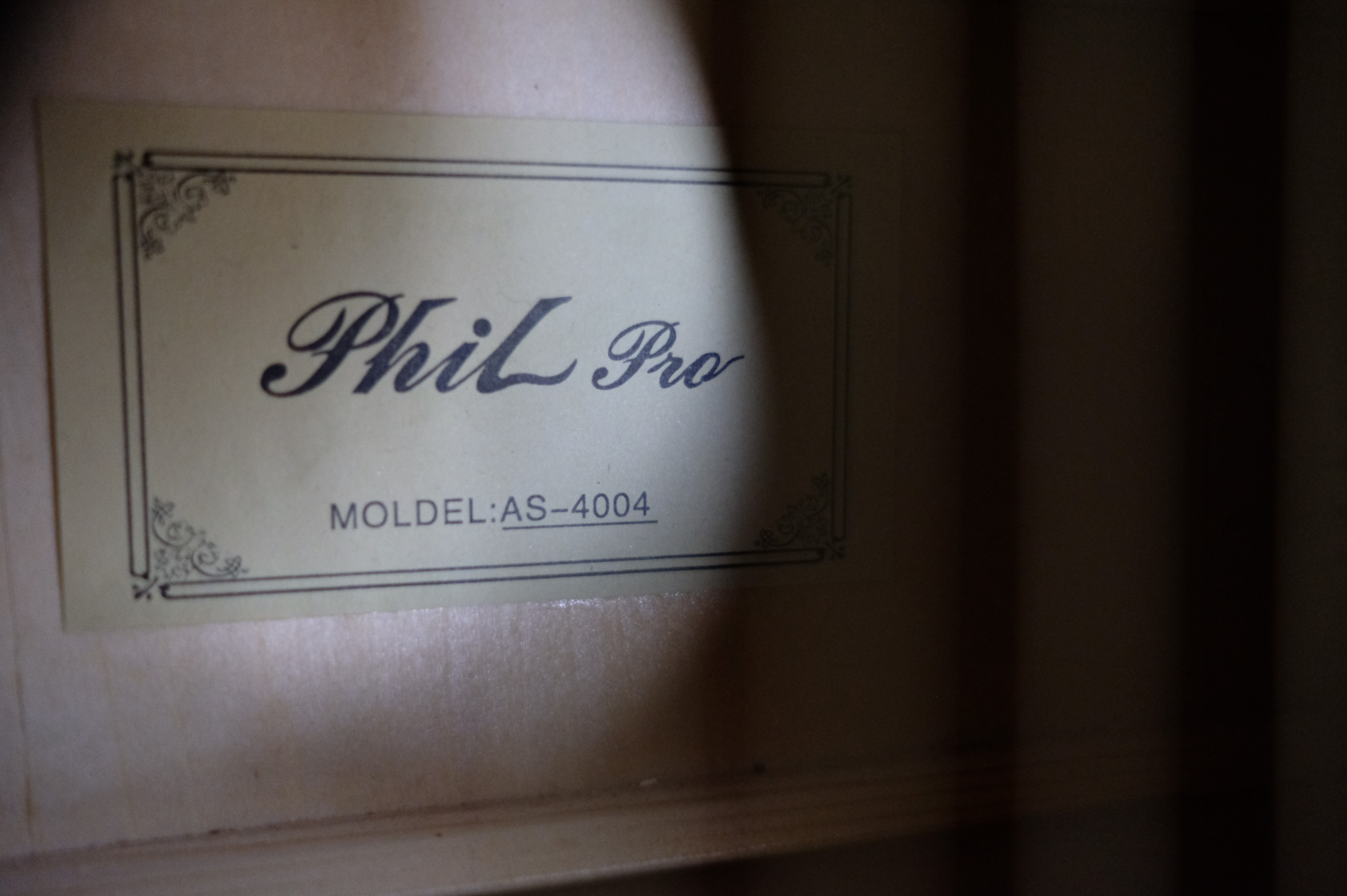 Акустическая гитара Phil Pro AS-4004 / N