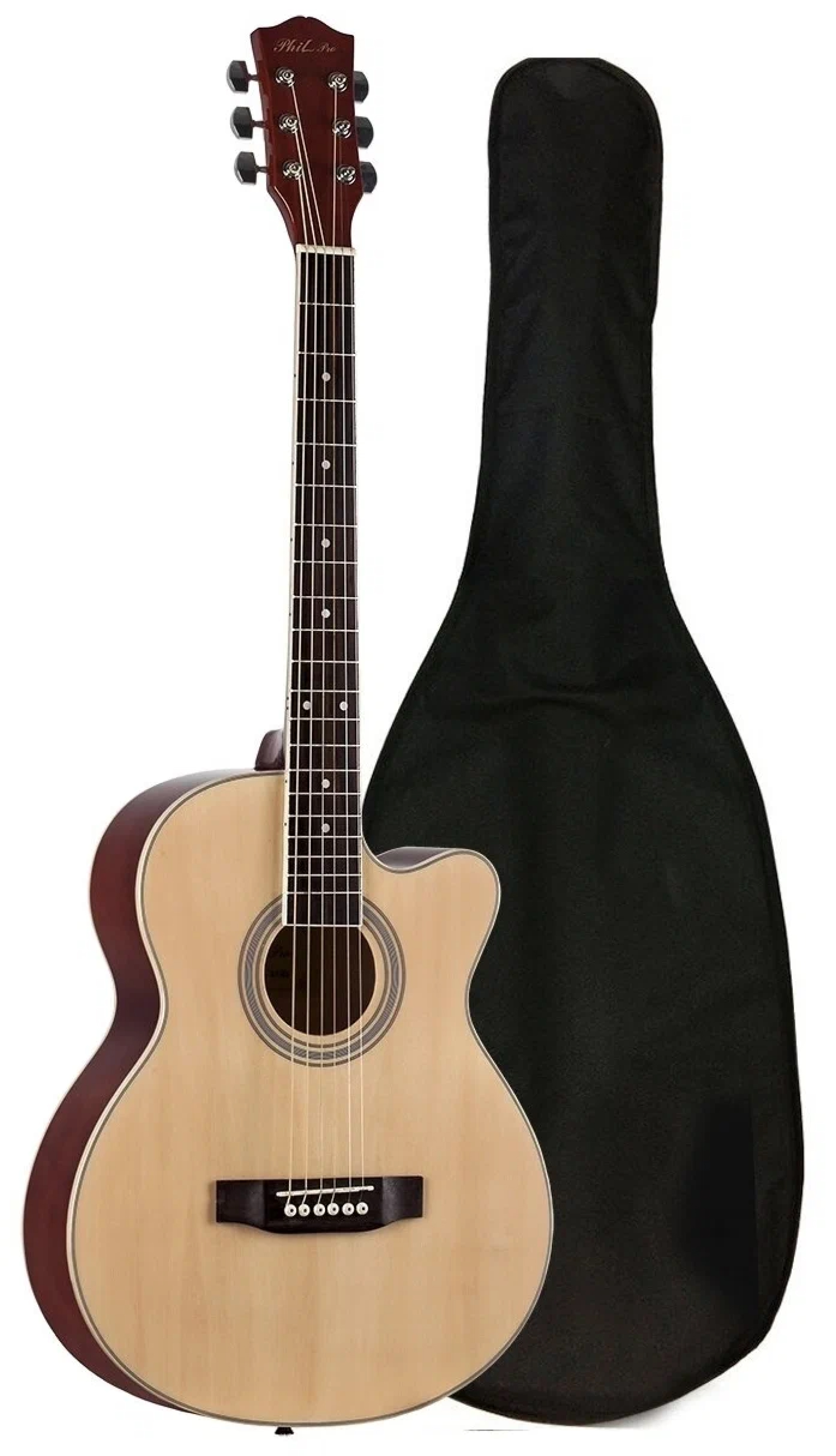 Акустическая гитара Phil Pro AS - 3904 / N