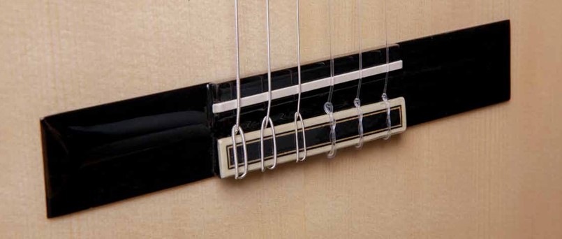 8.895 Green Sustain Clasical Классическая гитара, Alhambra